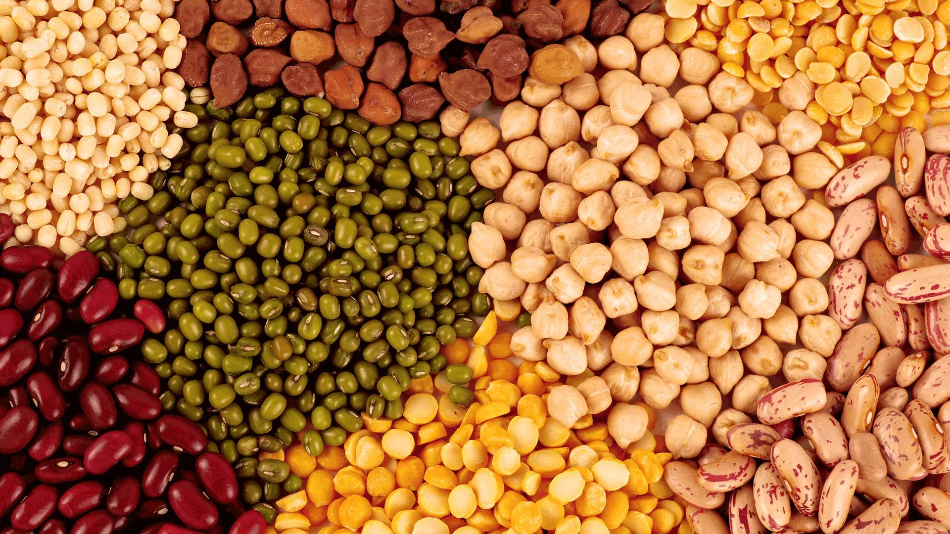 Africa_Pulses_header